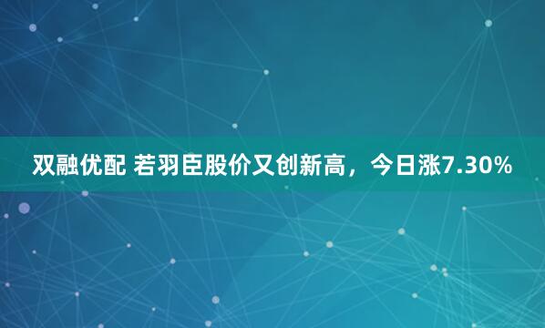 双融优配 若羽臣股价又创新高，今日涨7.30%
