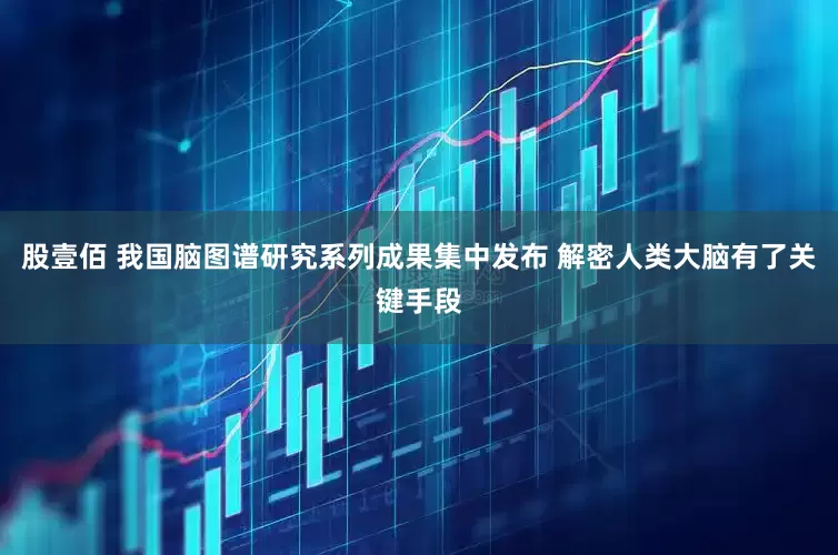 股壹佰 我国脑图谱研究系列成果集中发布 解密人类大脑有了关键手段