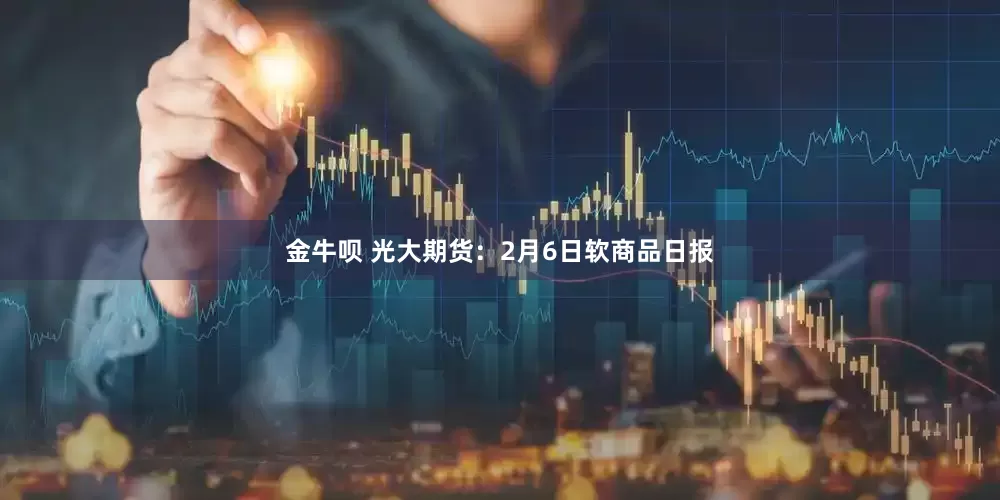 金牛呗 光大期货：2月6日软商品日报