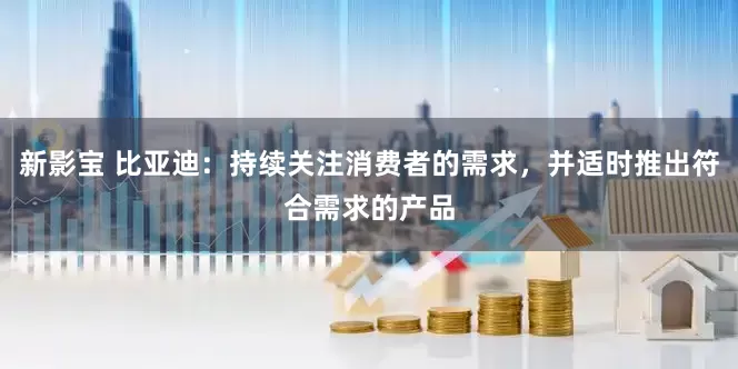 新影宝 比亚迪：持续关注消费者的需求，并适时推出符合需求的产品
