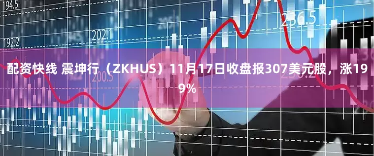 配资快线 震坤行（ZKHUS）11月17日收盘报307美元股，涨199%